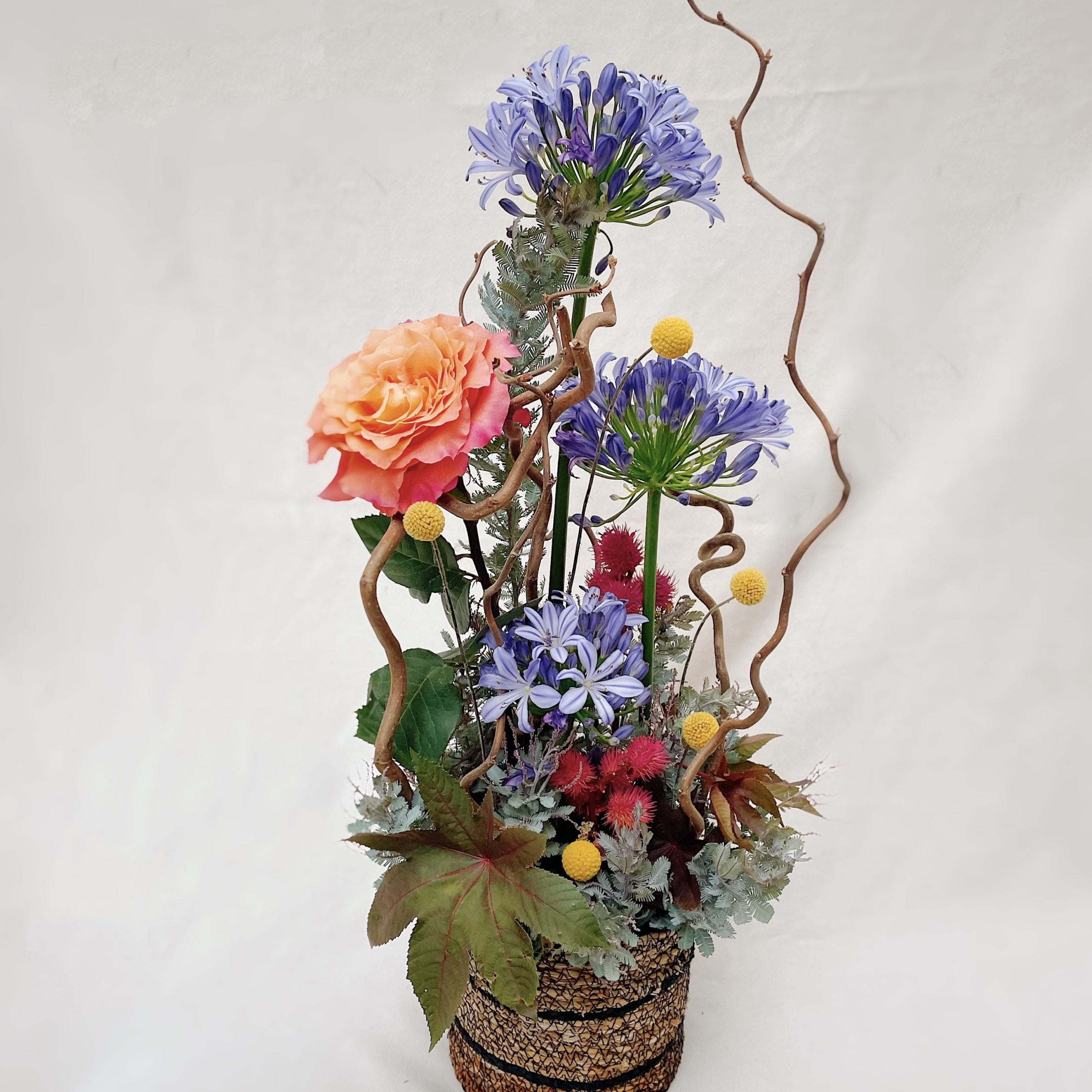 composition hauteur Eleanor tres coloree