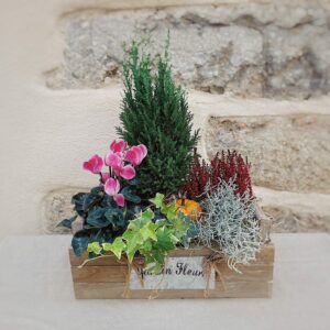 couple de plantes de toussaint livraison au cimetière fleuriste à neuville sur saone