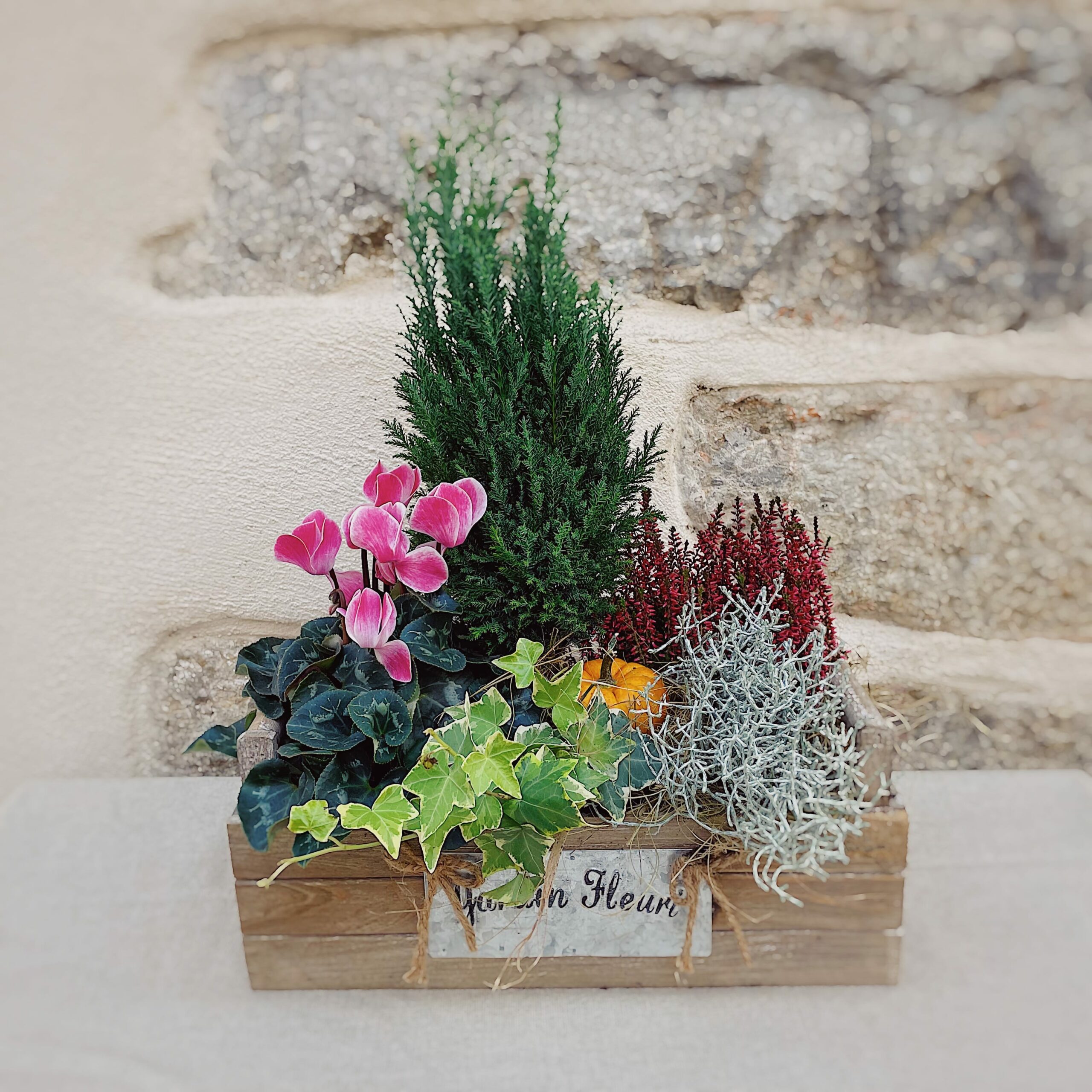 couple de plantes de toussaint livraison au cimetière fleuriste à neuville sur saone