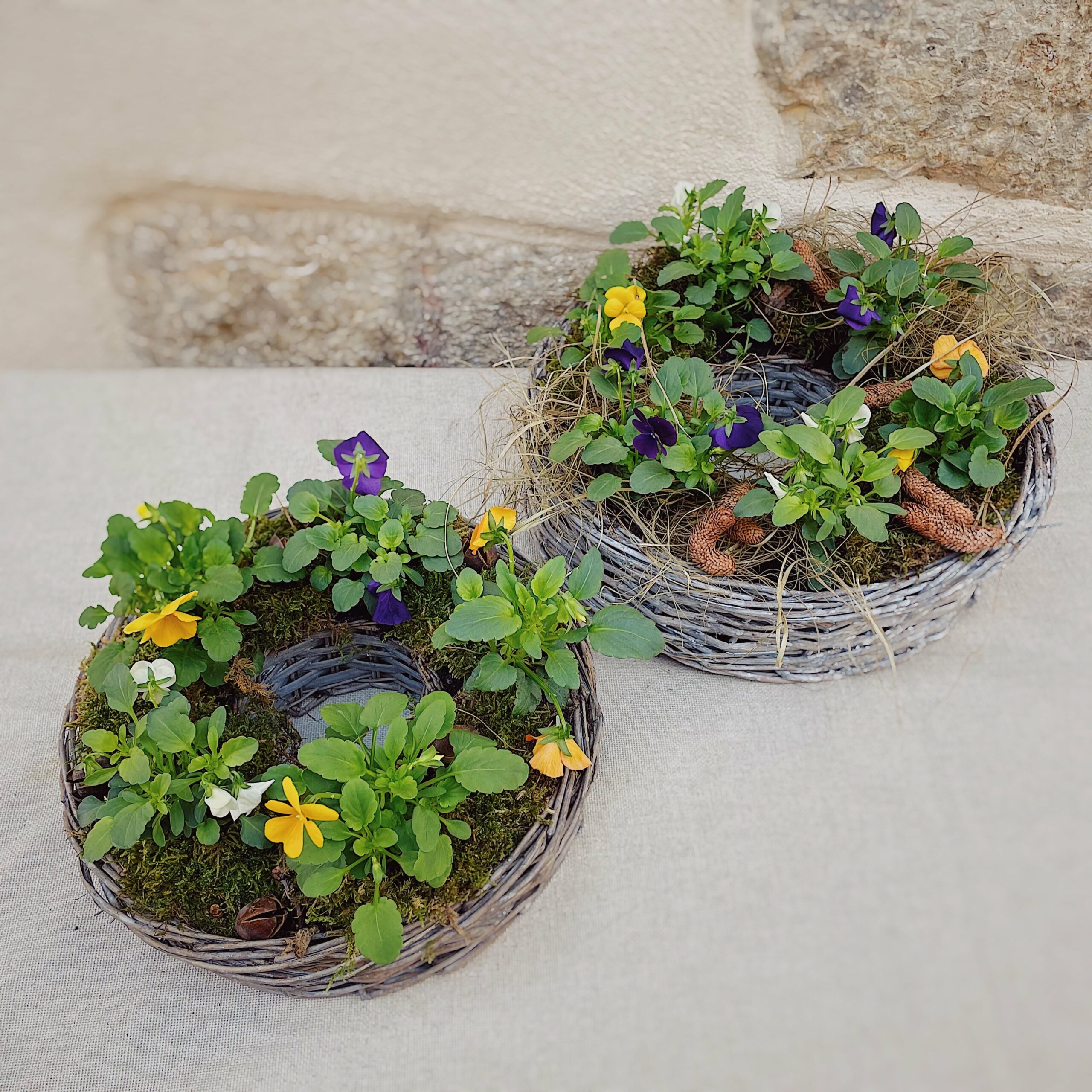 panier de pensées pour la toussaint livraison au cimetière fleuriste à neuville sur saone