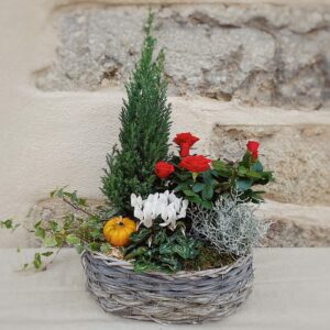coupe de plante dans un panier toussaint neuville sur saone