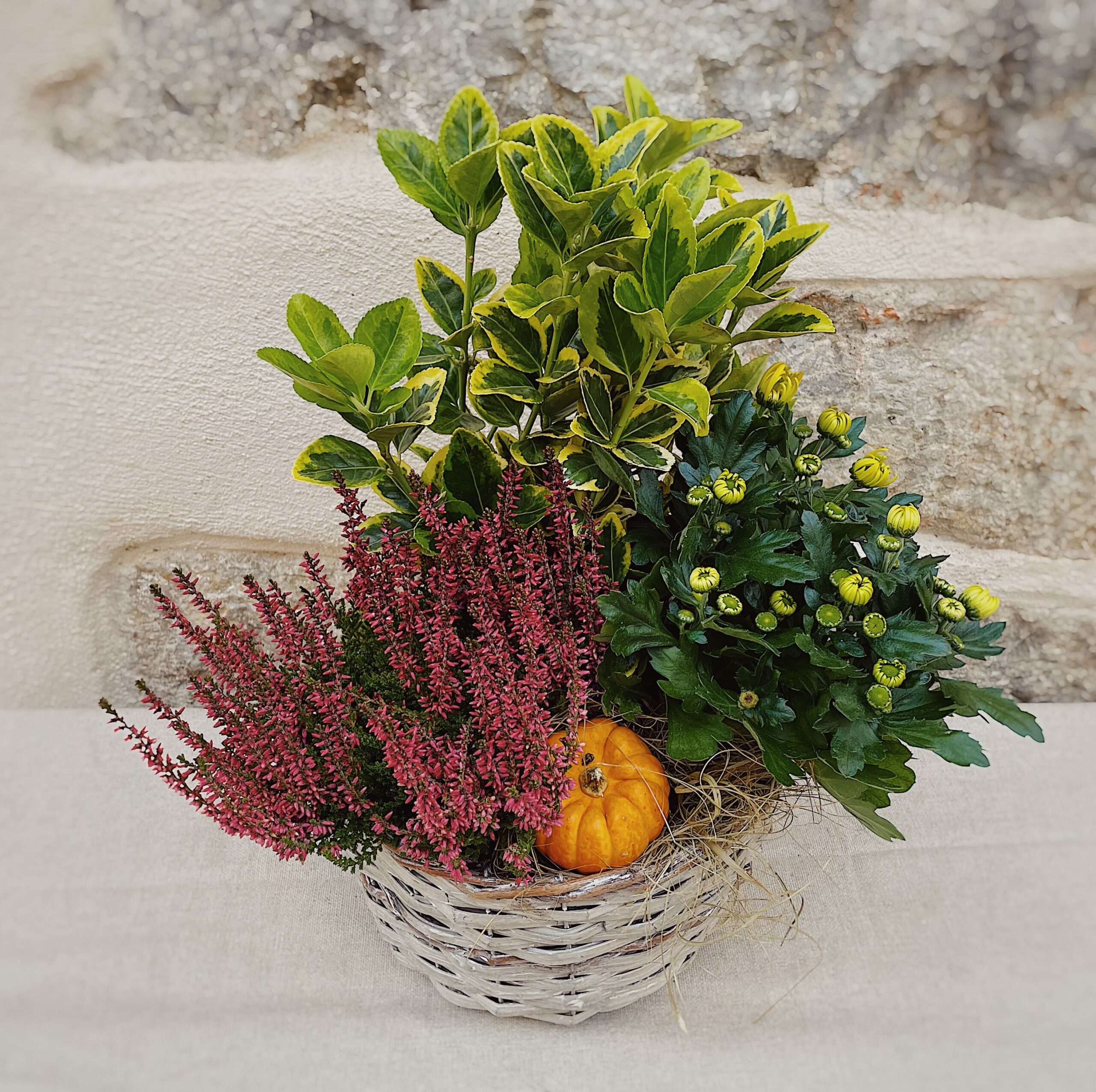 Panière de plantes