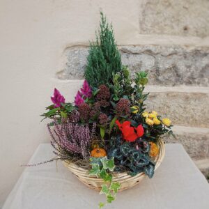 coupe de plantes xxl livraison au cimetière val de saone