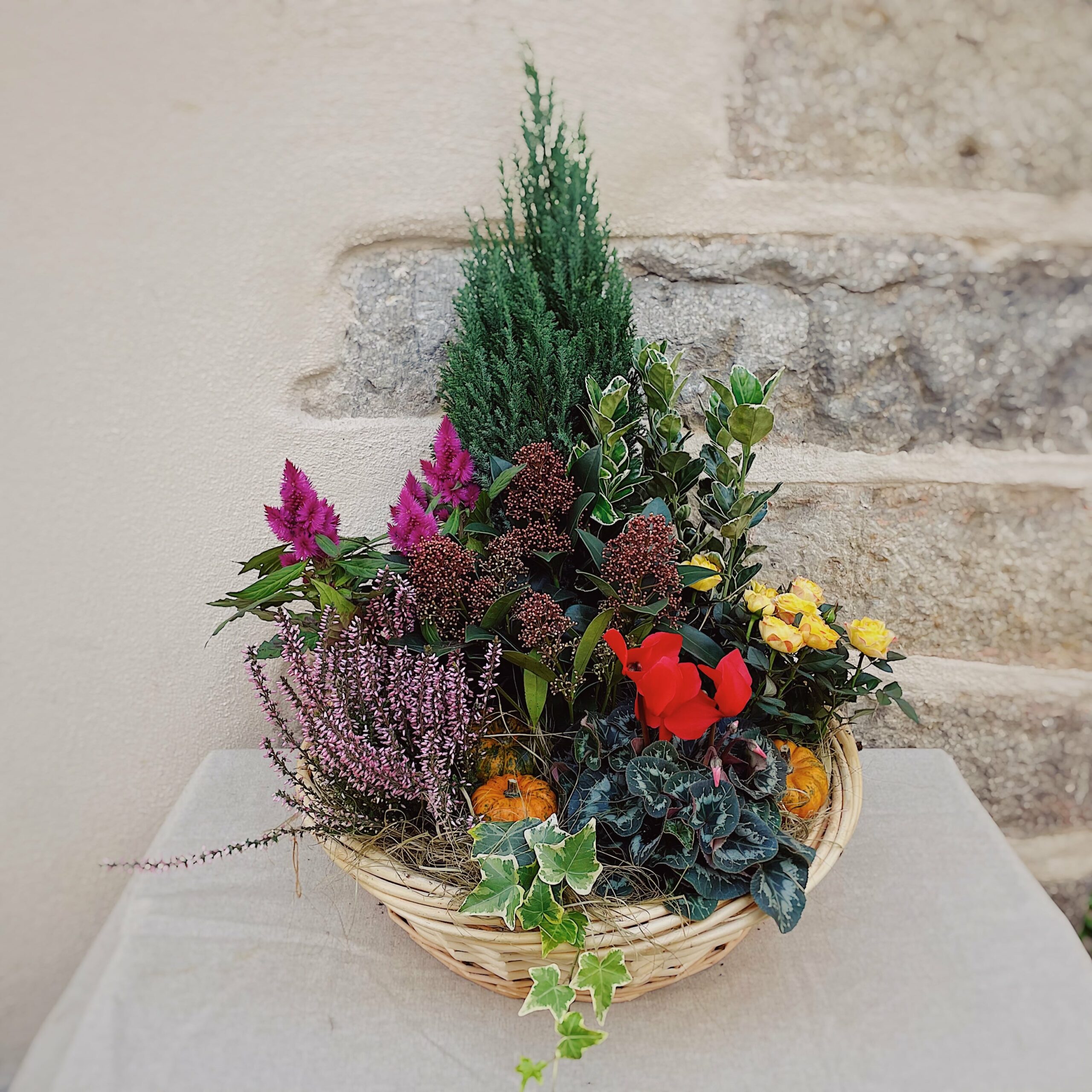 coupe de plantes xxl livraison au cimetière val de saone