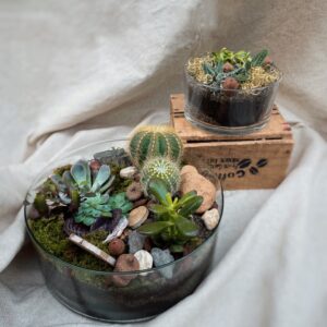 terrarium rond fleuriste à neuville sur saone