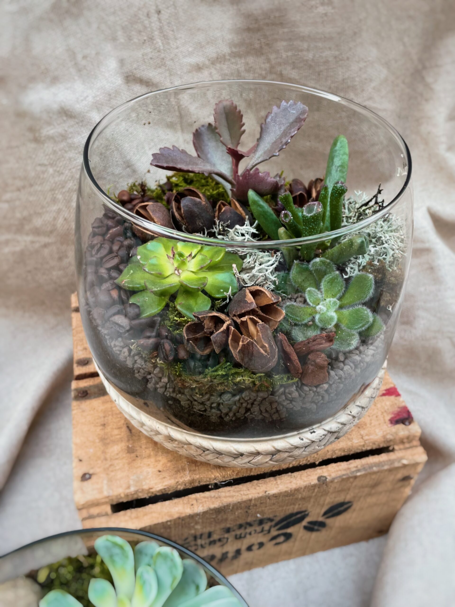 terrarium tresse fleuriste à neuville sur saone