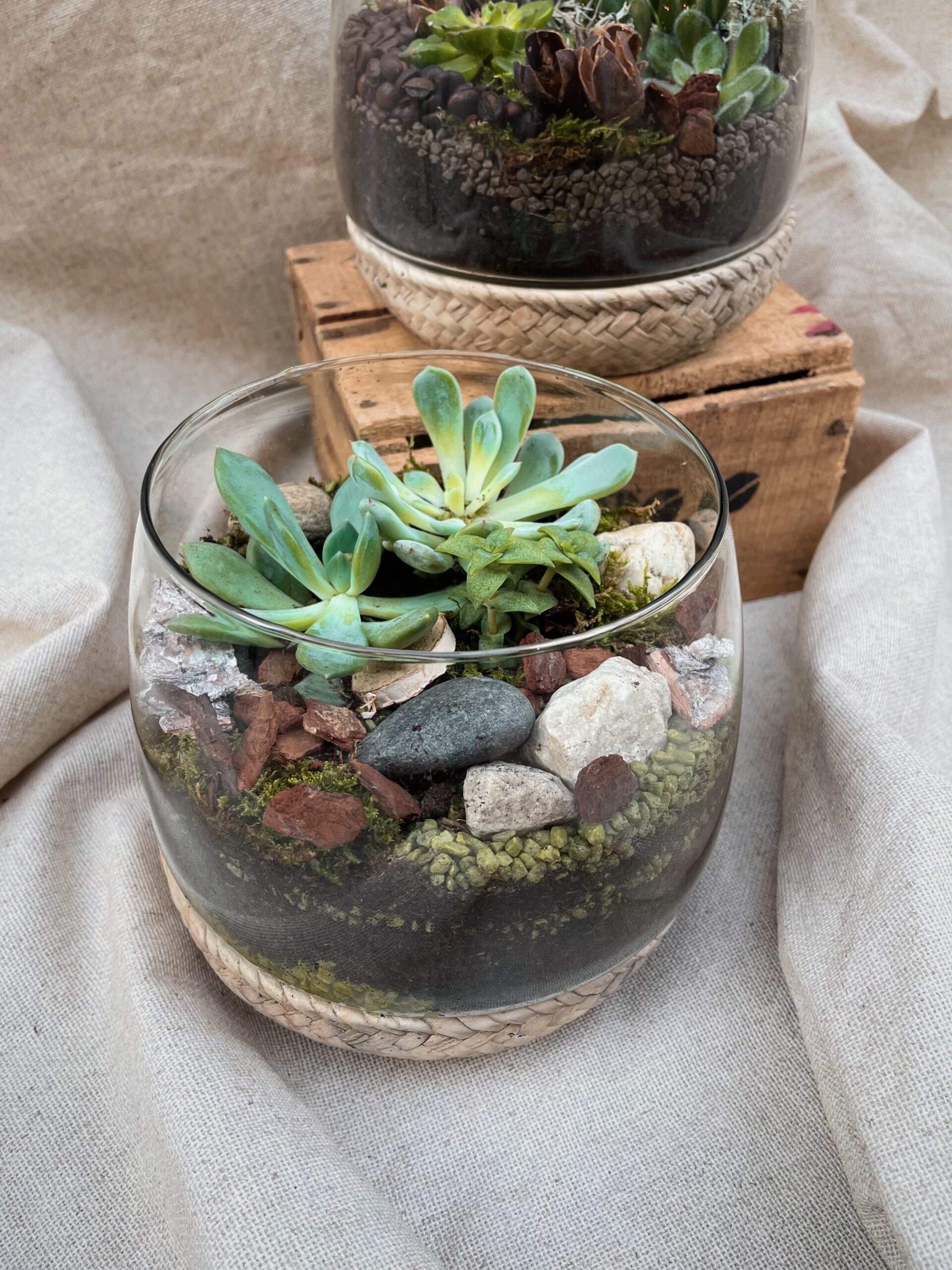 terrarium tresse fleuriste à neuville sur saone