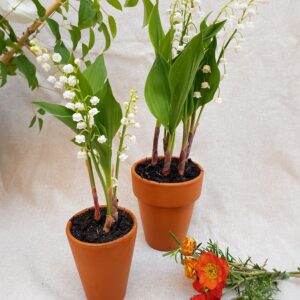 fleuriste neuville sur saone griffe brin muguet