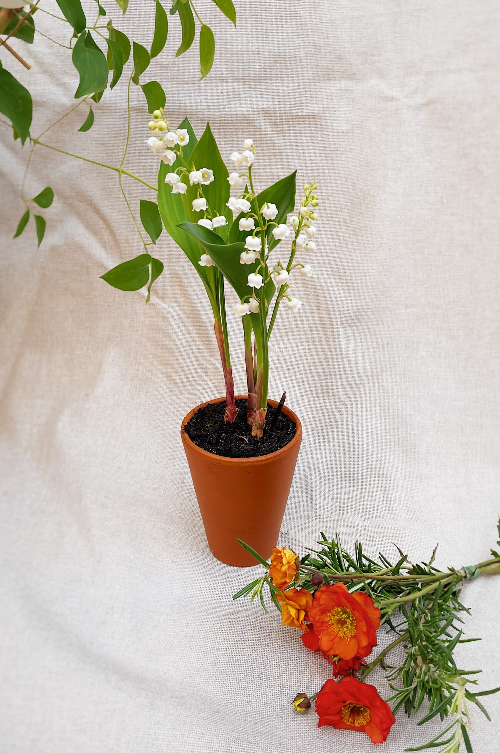 fleuriste neuville sur saone griffe muguet