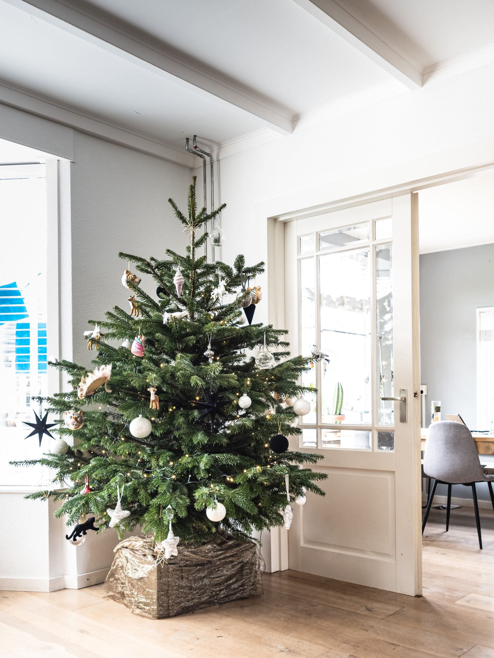 sapin nordmann neuville sur saone